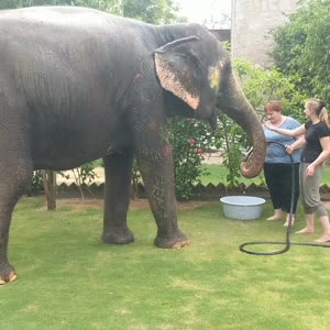 VID_20190715_153250.mp4